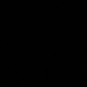 Meet your Posher, Franki